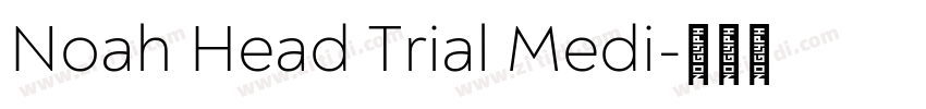 Noah Head Trial Medi字体转换
